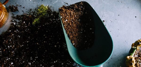 Soil visual data 5