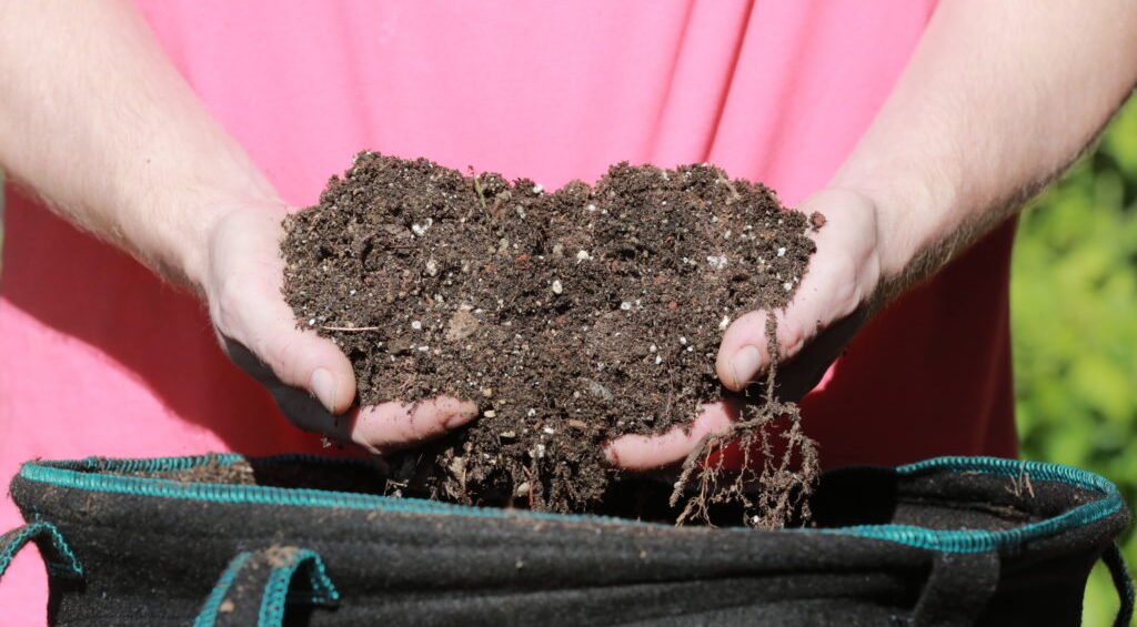 Gardner's guide to reuse potting soil Don't throw your soil away
