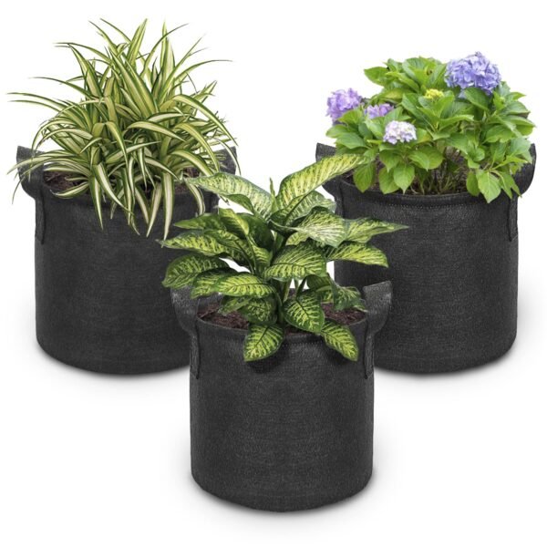 Grow Bags 101 Everything You Need to Know About Planting Trees in Fabric Grow Bags Fabric